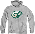 LOGOVISION Collegiate Distressed Primary Logo Adult (Style Y362)