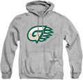 LOGOVISION Collegiate Distressed Primary Logo Pullover Hoodie GWINNETT