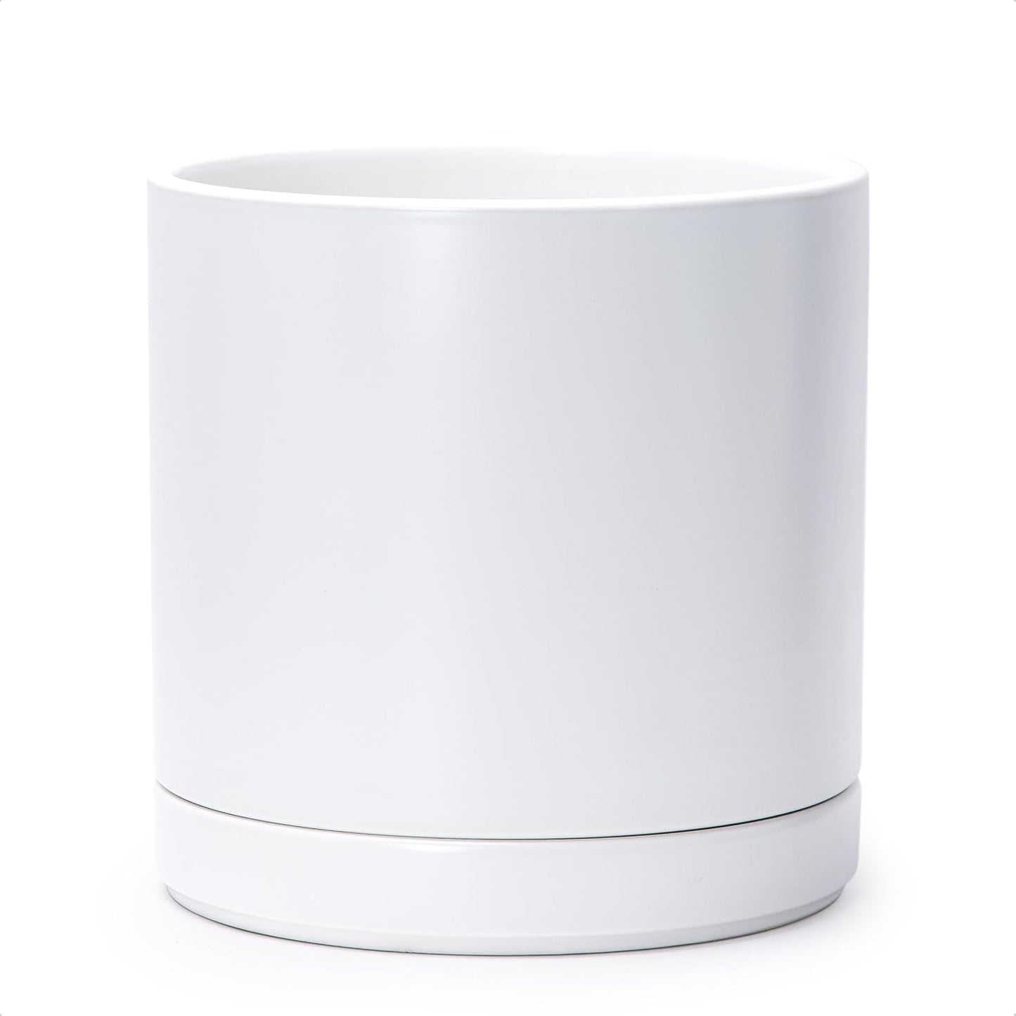 D'vine Dev 10 Inch Ceramic Planter Pot with Drainage Hole