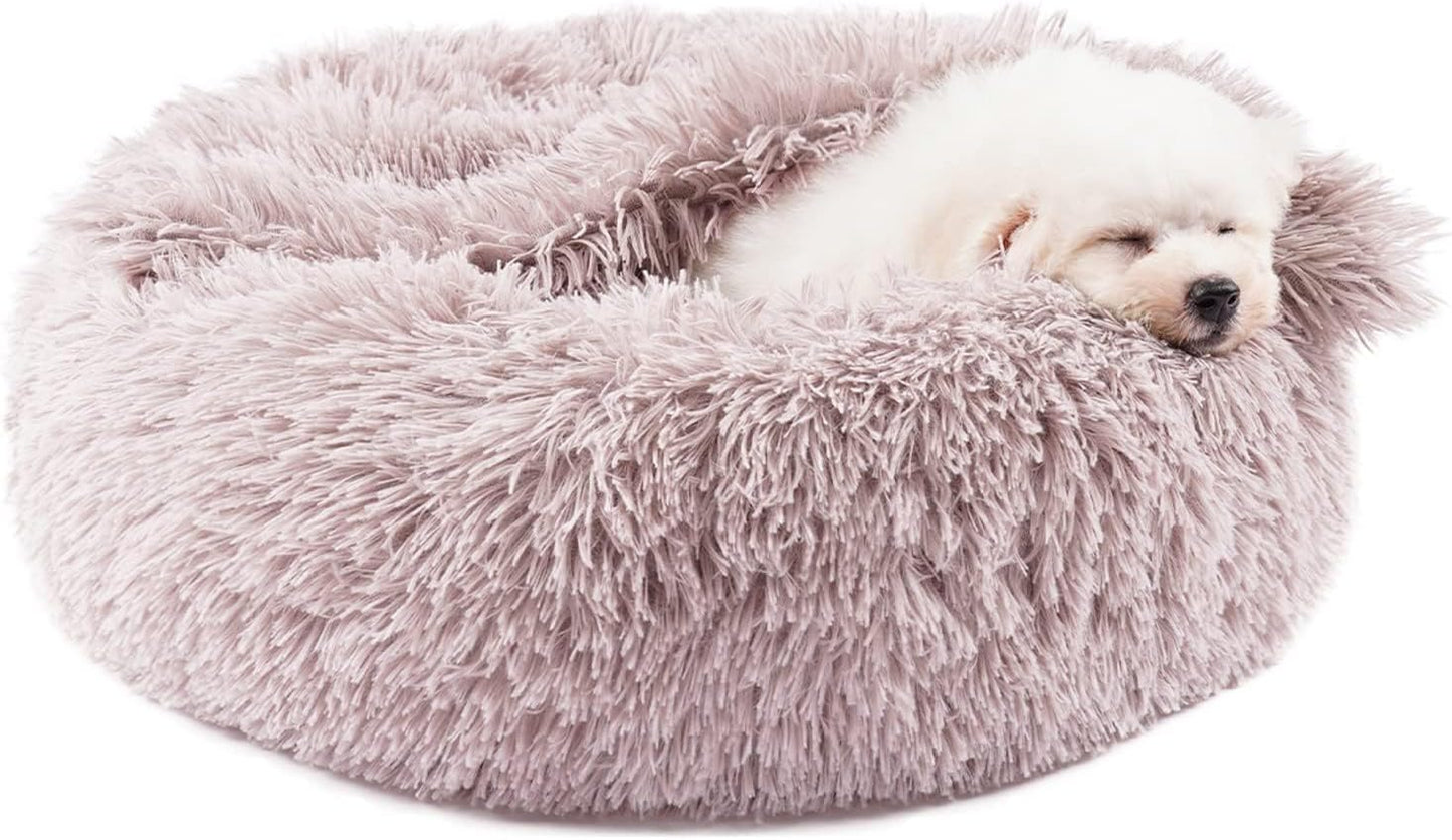 Himax Dog Beds for Small Dogs with Attached Blanket for Comfort