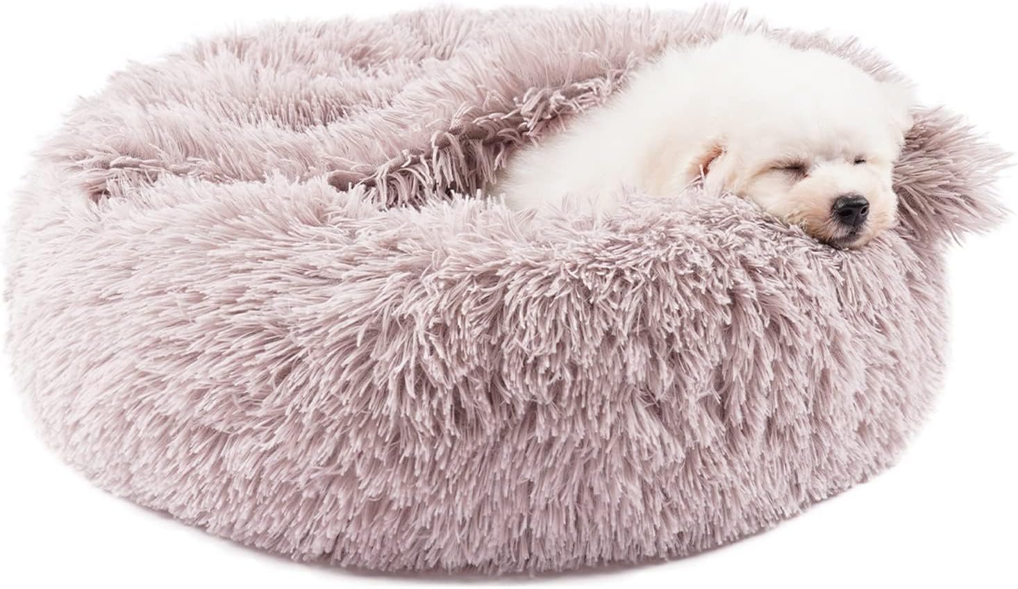 Himax Dog Beds for Small Dogs with Attached Blanket for Comfort