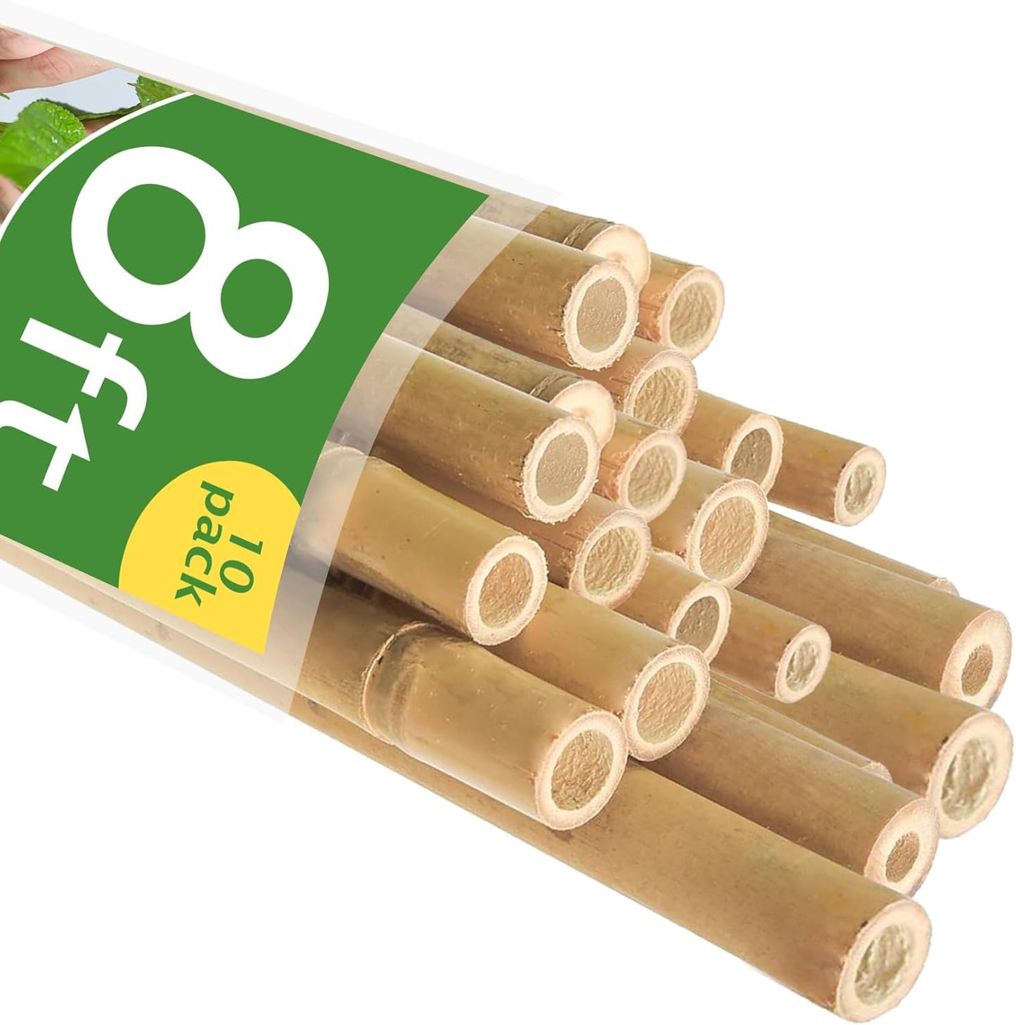 Bamboo Stakes 8FT for Climbing Plants, Heavy Duty 10 Pack