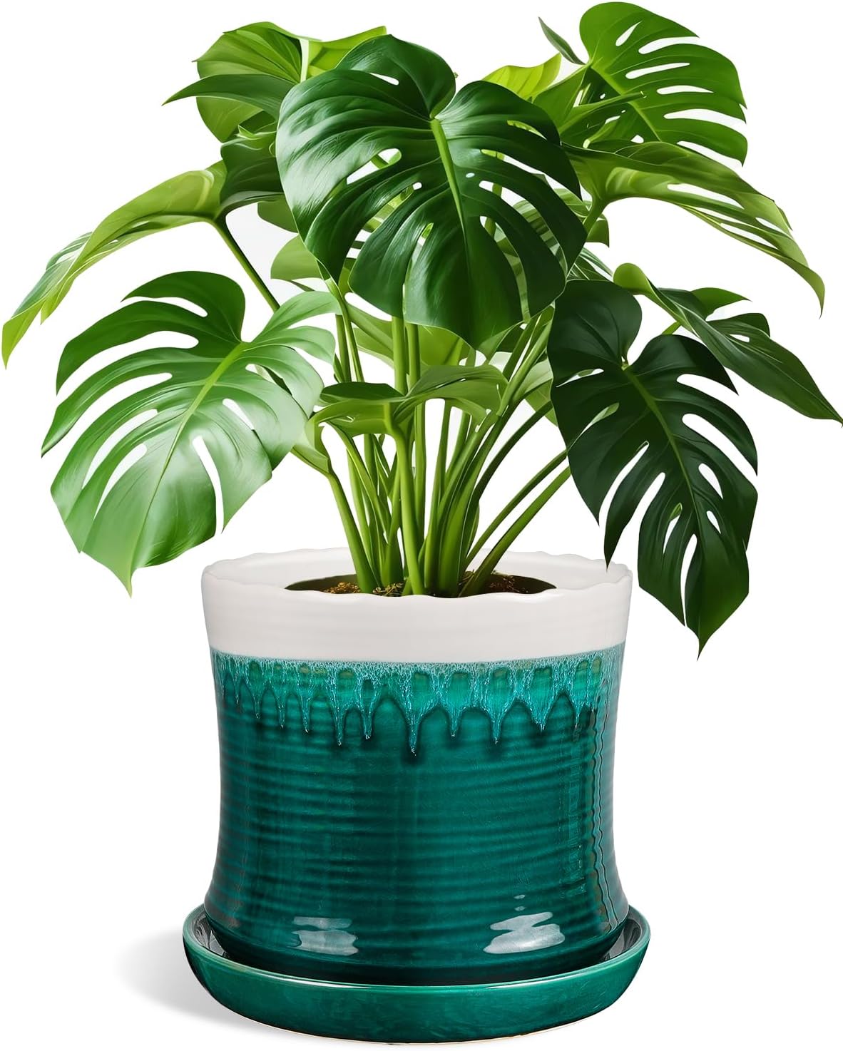8 Inch Ceramic Plant Pot with Drainage Hole for Indoor Use