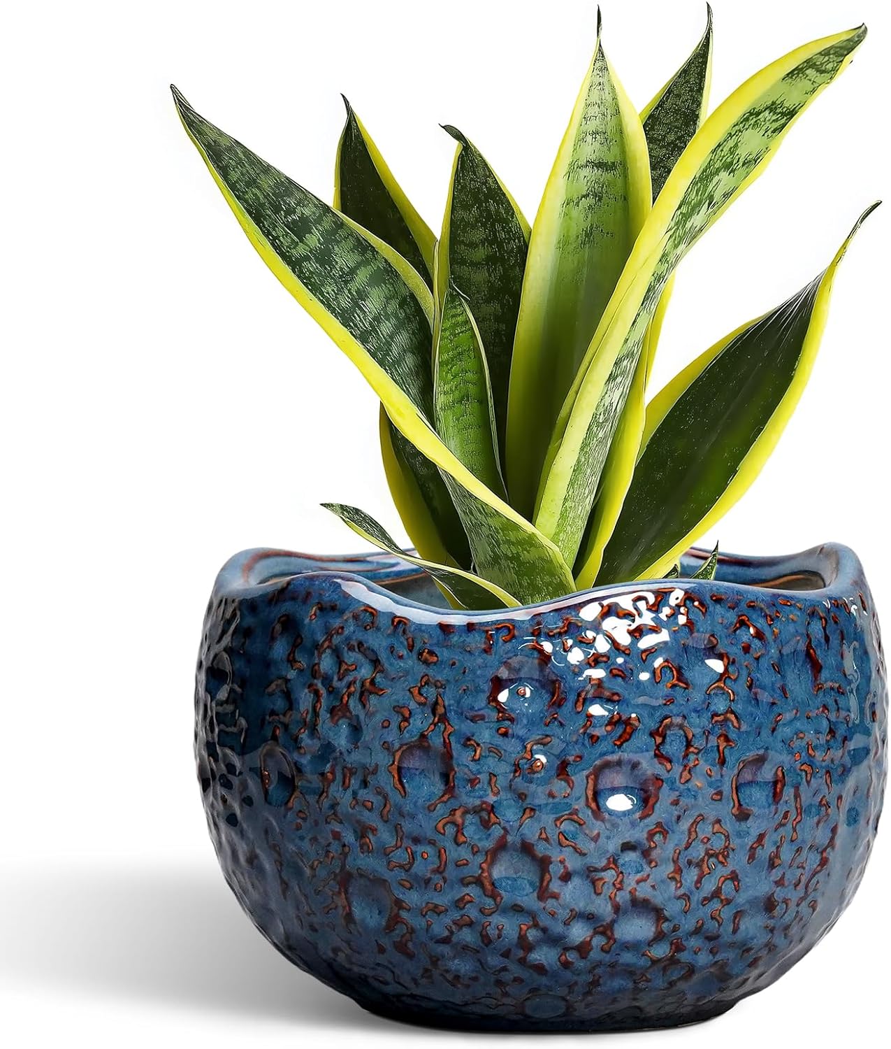 8 Inch Ceramic Plant Pot with Drainage Hole for Indoor Outdoor Use