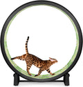 One Fast Cat 48in Cat Exercise Wheel - Safe Indoor Workout