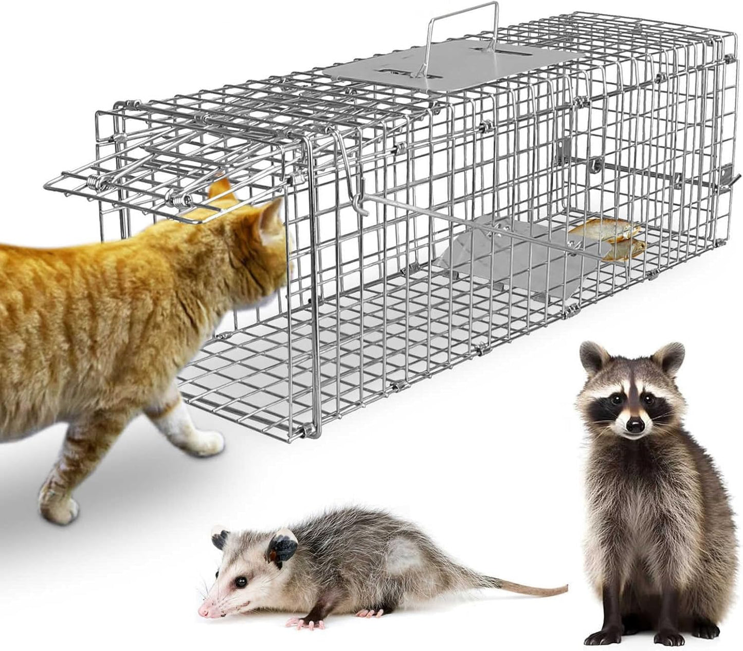 Humane Live Animal Cage Trap for Stray Cats and More