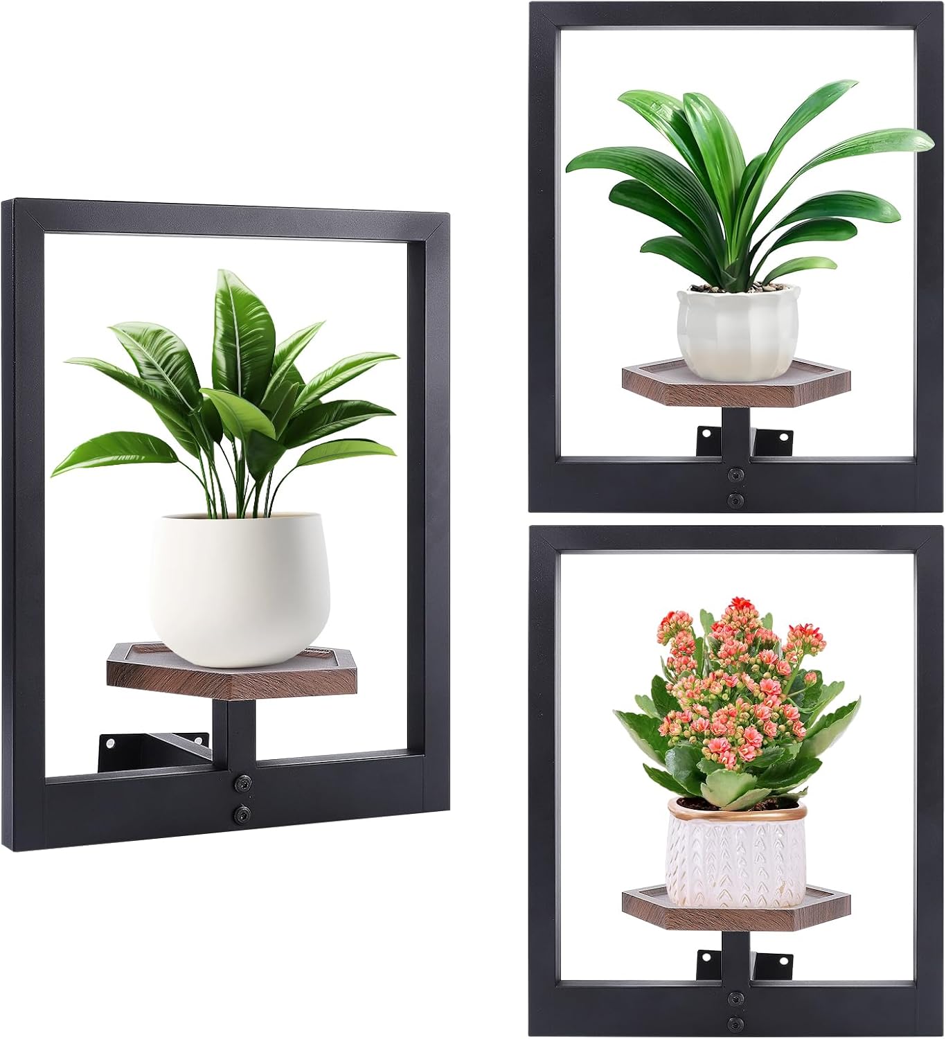 3 Pack Wall Planters for Indoor Plants - Stylish Wooden Shelves
