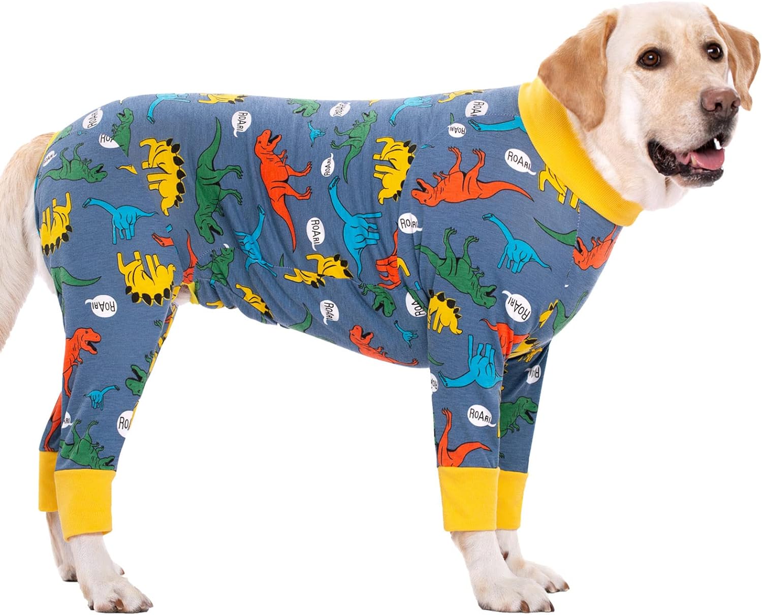 Dog Recovery Suit for Surgery Comfort and Protection for Pets