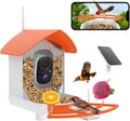 Bird Feeder with Camera - Smart Solar FHD Birdwatching