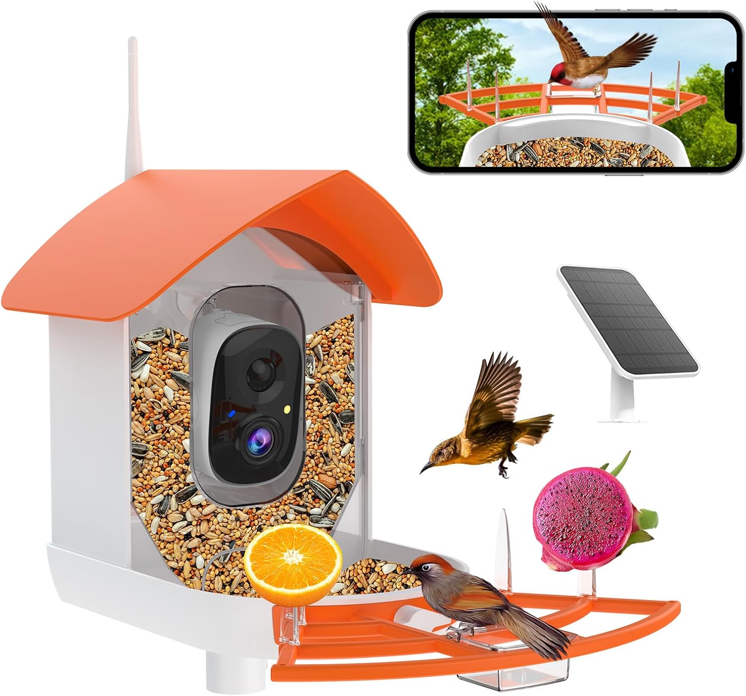 Smart Bird Feeder with Camera for Birdwatching Enthusiasts