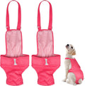 Female Dog Diapers 2-Pack - Washable Reusable Adjustable Period Pants