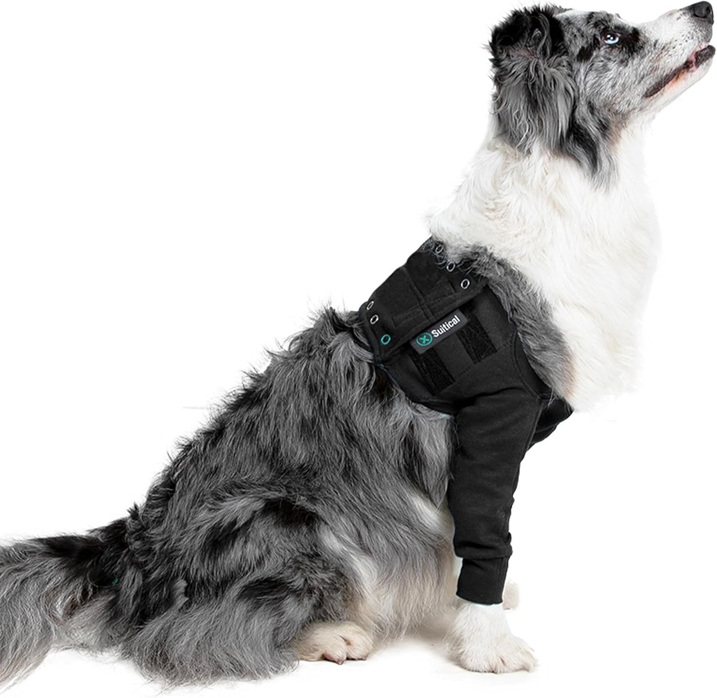Suitical Recovery Double Sleeve for Dogs - M Black Protection