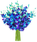 Blue Orchid Bouquet - 20 Blue Orchid without Vase - Fresh Valentine