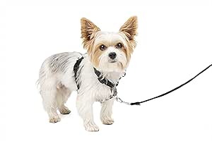 PetSafe 3 in 1 No-Pull Dog Harness for Safe and Comfortable Walks