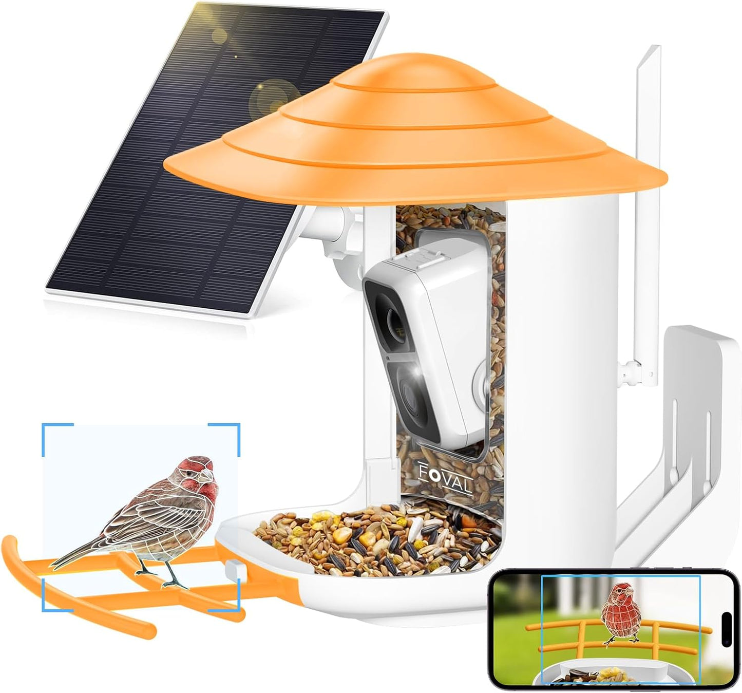 FOVAL Smart Bird Feeder with AI Cam