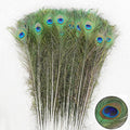 SendyFeather 50pcs Natural Peacock Feathers 30-35in - Decorative Bulk