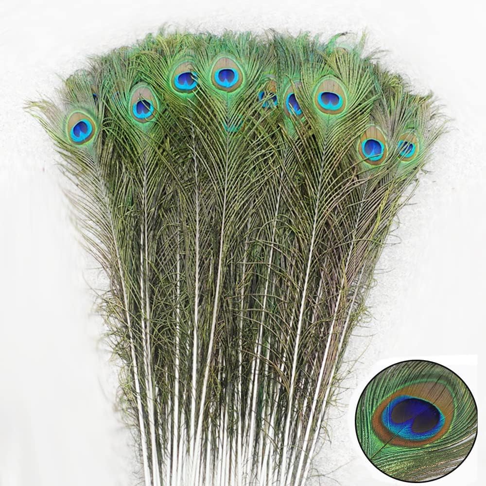 Natural Peacock Feathers for DIY Craft and Home Decoration