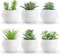 Set of 6 Small Fake Succulents - Bedroom Ready