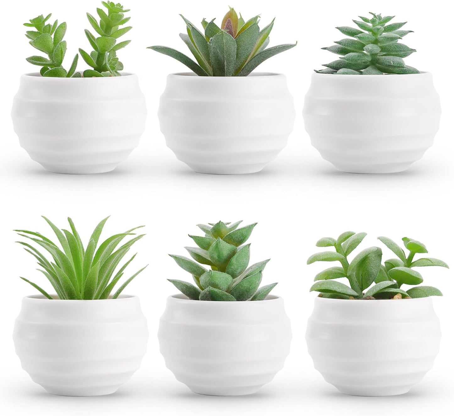 Set of 6 Small Fake Succulents - Bedroom Ready