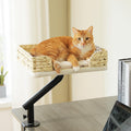PAWZ Road Cat Desk Bed for Indoor Cats - Elevated Rotating Hammock