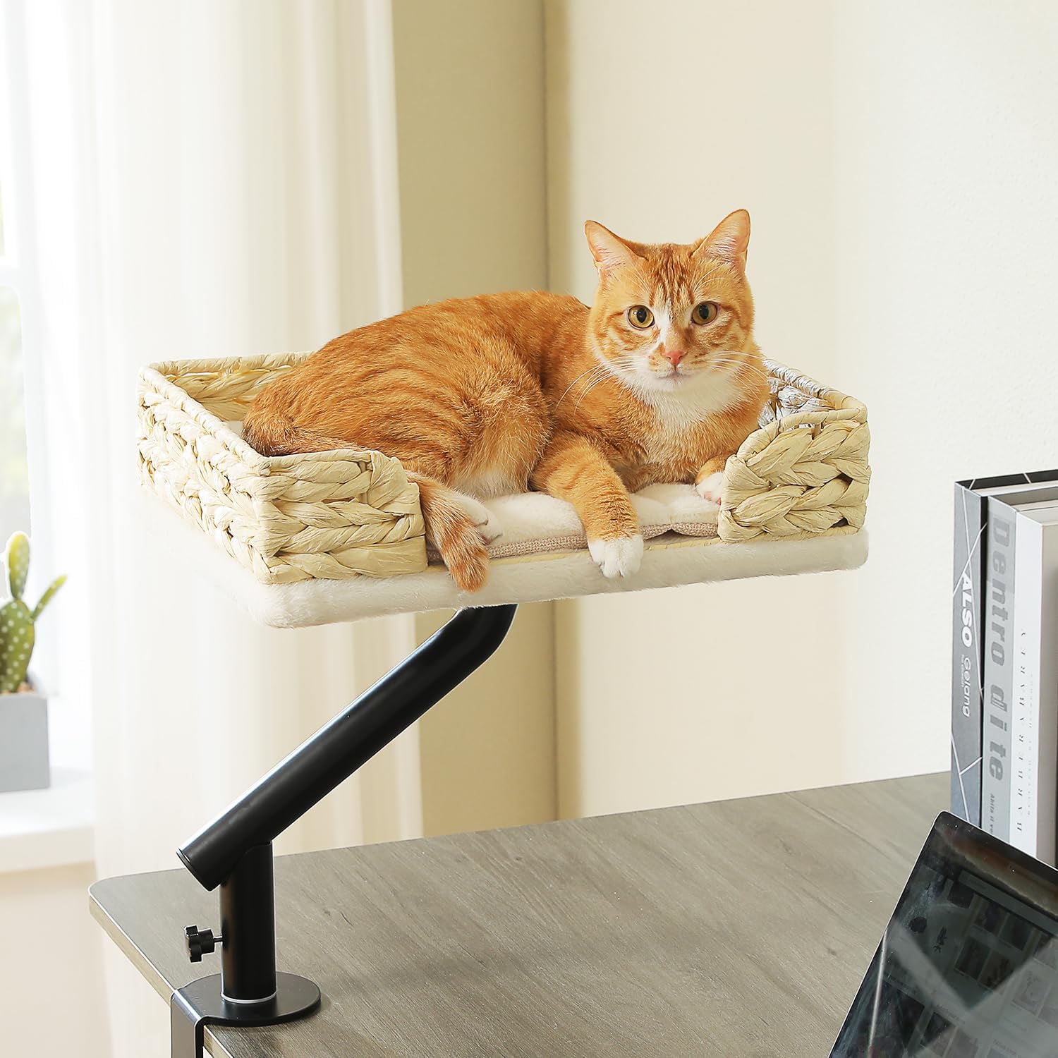 PAWZ Road Cat Desk Bed for Indoor Cats with 360 Rotation