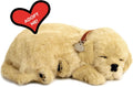 Realistic Interactive Companion Toy: Golden Retriever