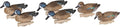 Flambeau Storm Front 2 Blue-Winged Teal Decoys 6-Pack - Realistic