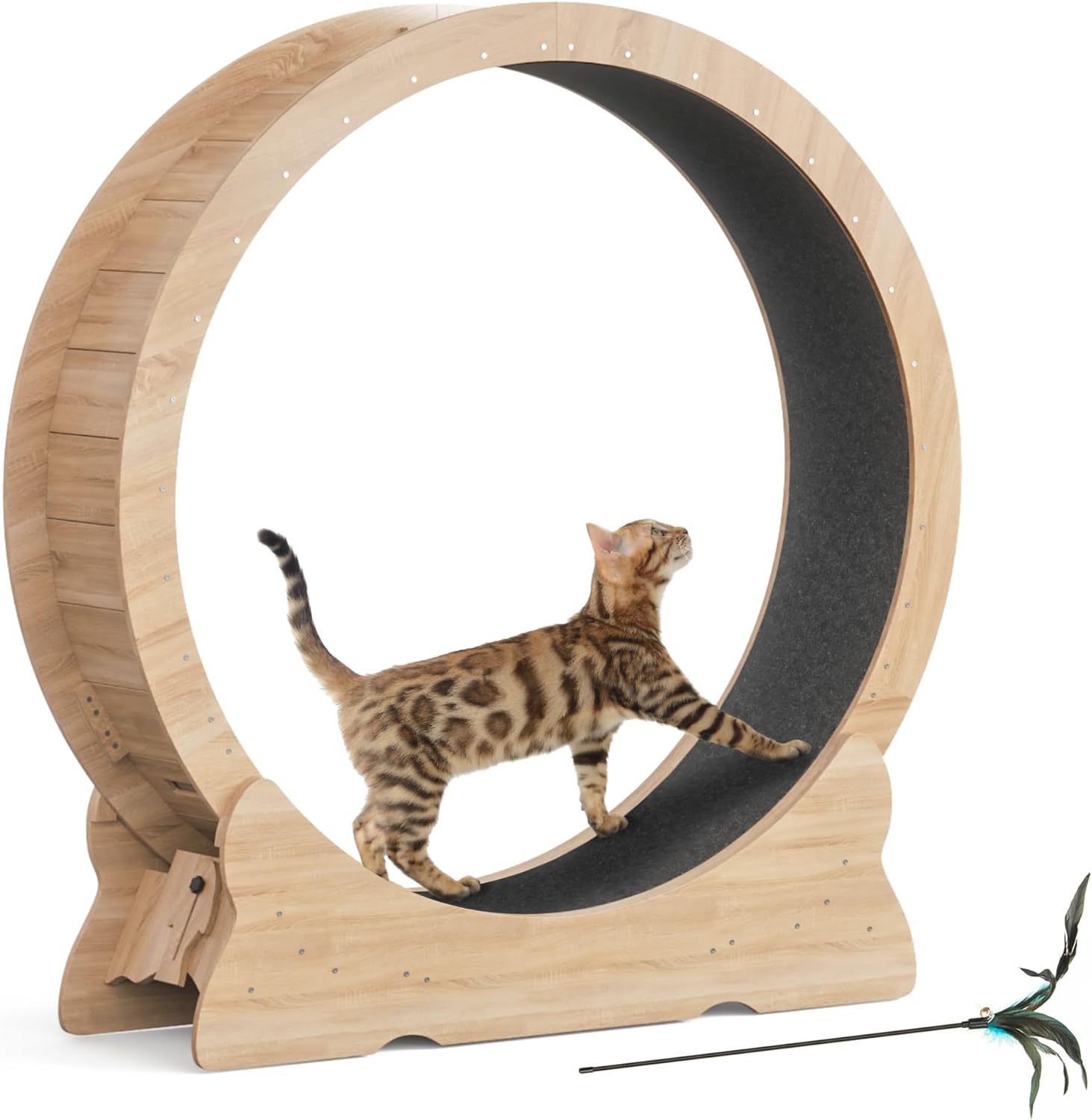 Cat Exercise Wheel for Indoor Cats - XL Treadmill with Teaser