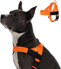 Dog Harness DF Co. Hi-Vis Orange M - Comfortable, Sturdy Walks