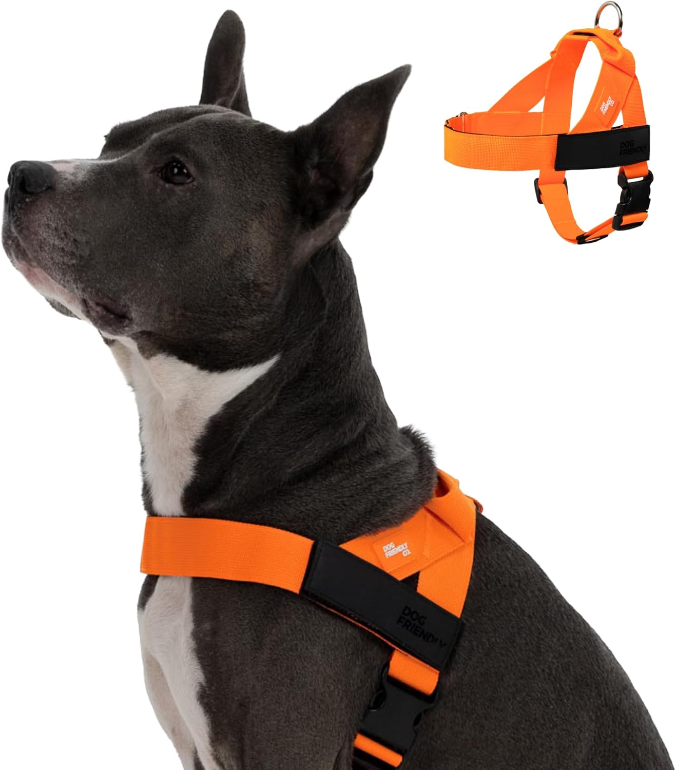 DF Co. Dog Harness - Adjustable, Comfortable, and Sturdy Design