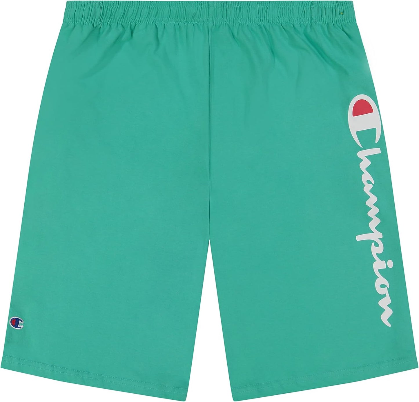 Champion Big and Tall Athletic Gym Shorts for Men - Perfect Fit