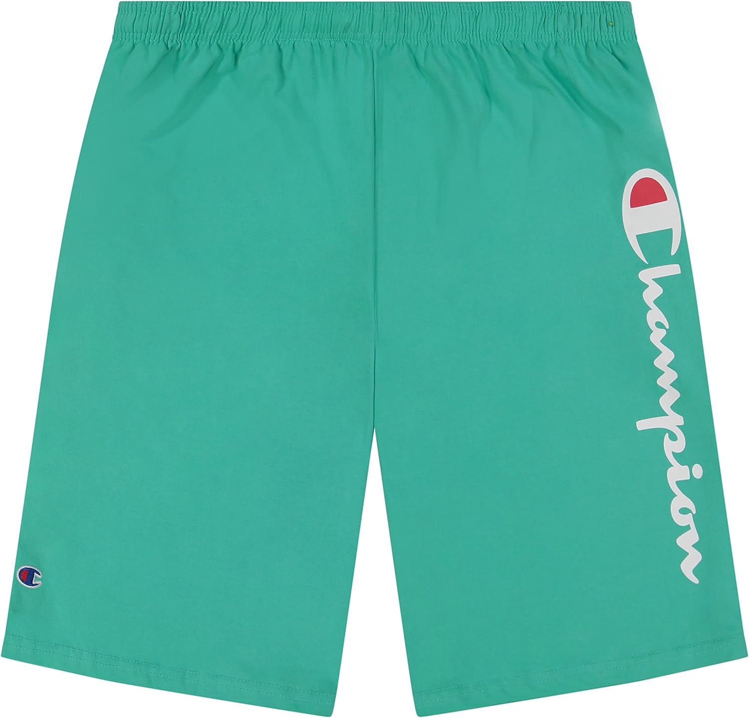 Champion Big and Tall Athletic Gym Shorts for Men - Perfect Fit