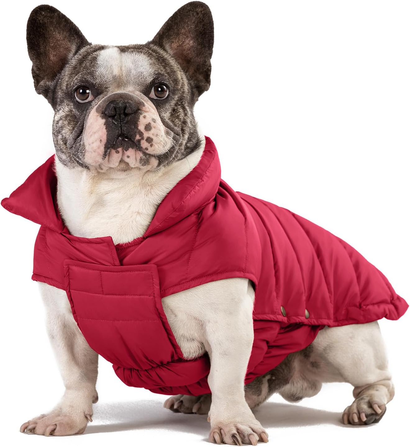 SPACE LION Dog Puffer Jacket for Cold Weather Protection