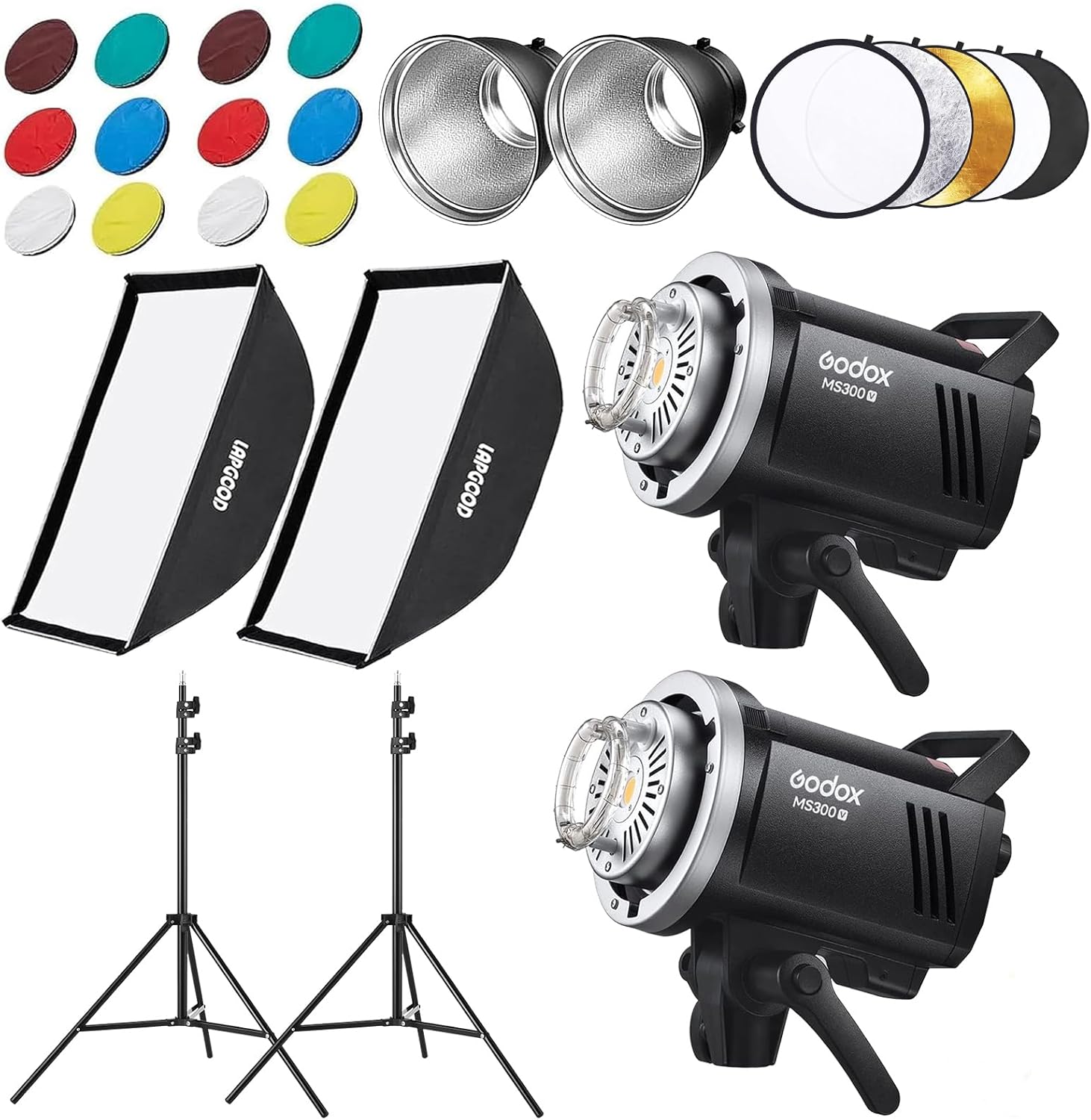 Godox MS300V Studio Flash Kit for Portrait and Fashion Photography
