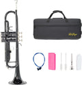 LeSage Student Trumpet Standard Bb Brass Trumpet for Beginner