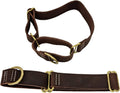 Vibrington Martingale Leather Dog Collar for Large Dogs in Style