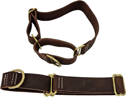 Vibrington Martingale Leather Dog Collar for Large Dogs in Style