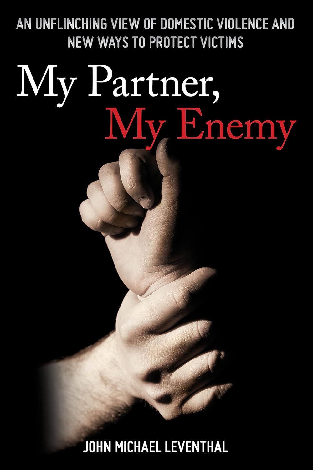 My Partner, My Enemy: A Deep Dive into Domestic Violence Solutions