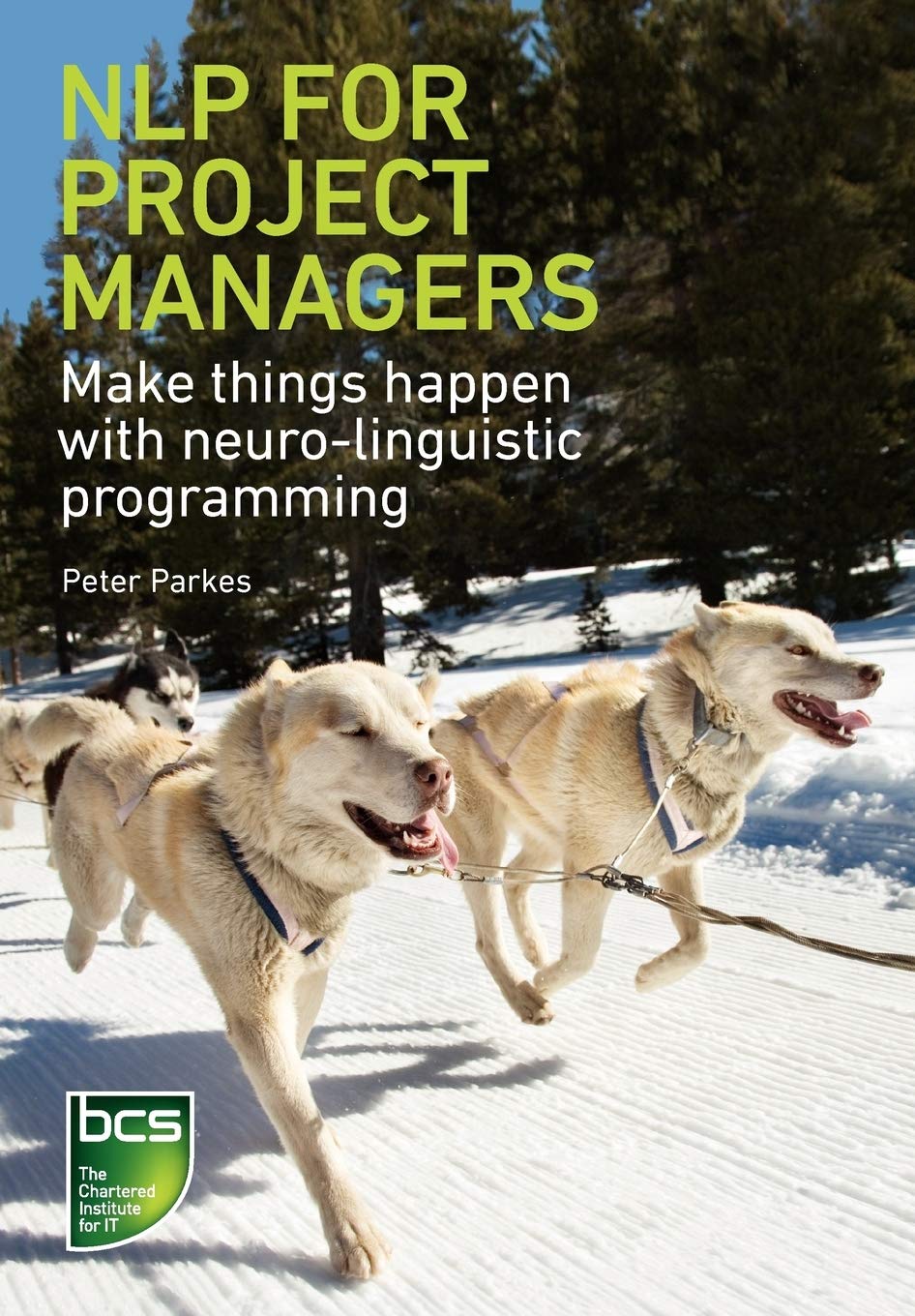 NLP for Project Managers: Harness Neuro-Linguistic Skills to Succeed