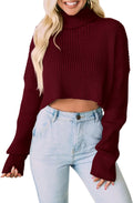 Turtleneck Cropped Sweater for Women - Cozy Ribbed Knit Fall Top Shoes