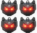Solar Powered Racoon Repellent Devices with Flashing Lights - Humane