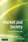 Market and Society: The Great Transformation Today Review