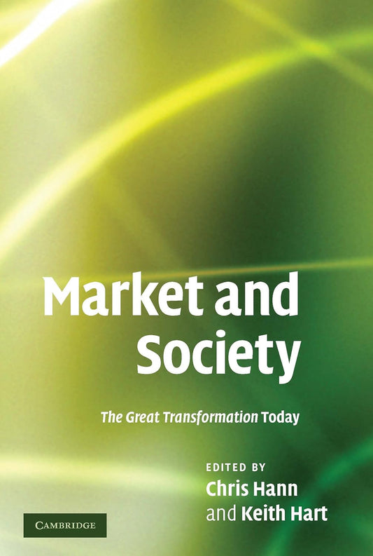 Market and Society: The Great Transformation Today Review