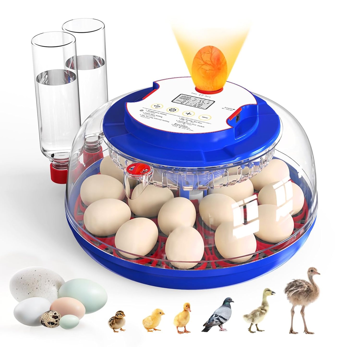 18 Egg Incubator with Automatic Turner for Optimal Hatching