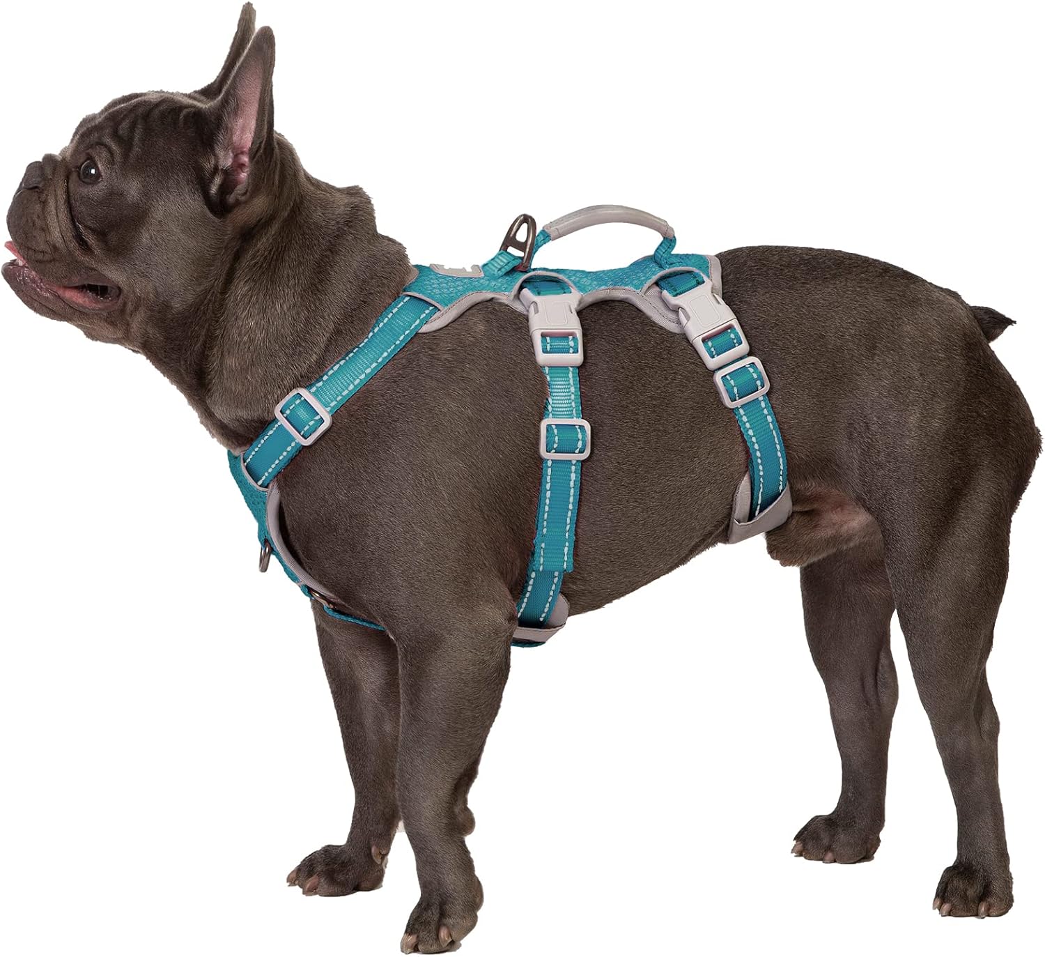 Escape Proof Dog Harness for Small Dogs with Reflective Design
