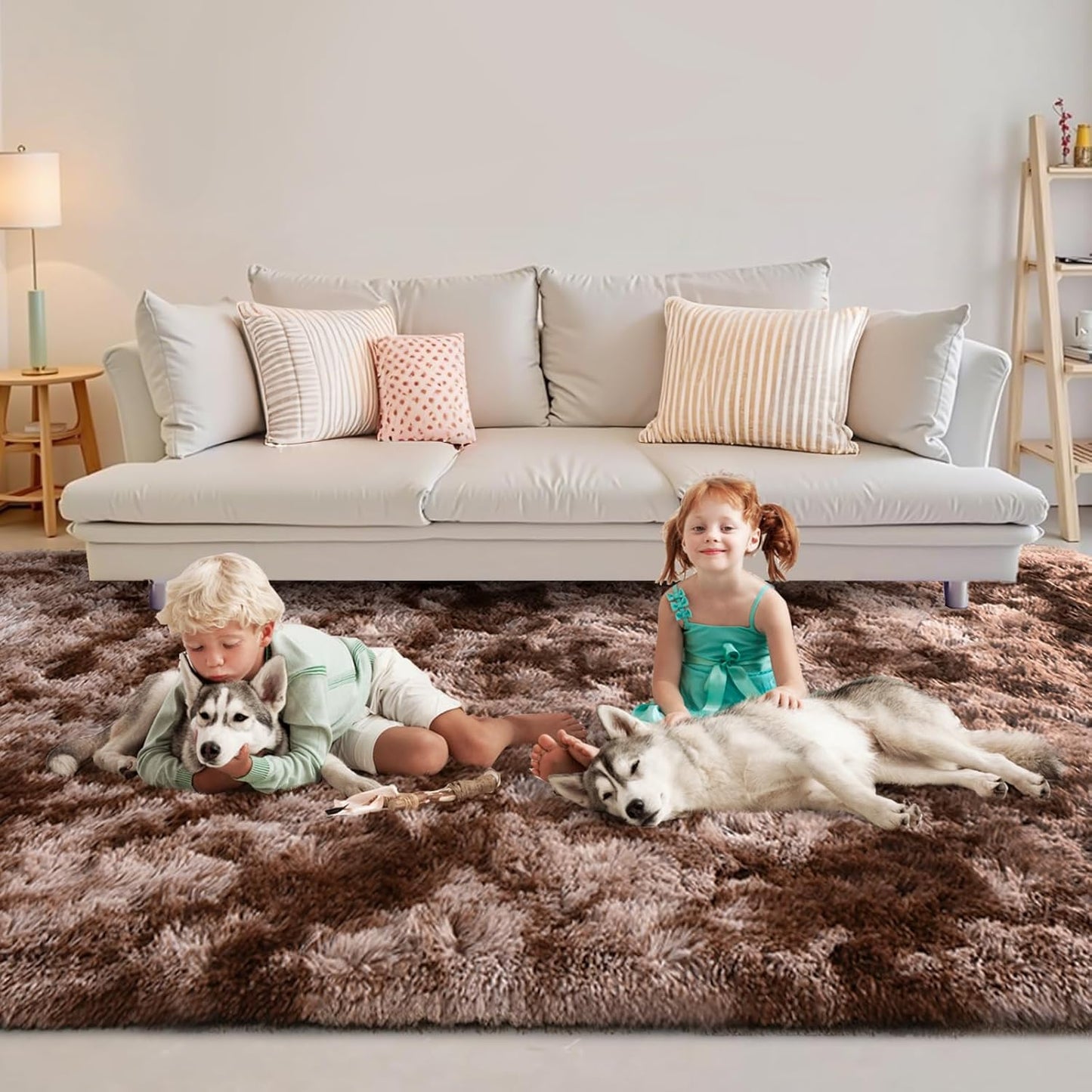 FinRec 5x8 Feet Brown Plush Shag Area Rug for Home Decor