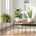 Indoor Metal Plant Stands with Wooden Tops - 3-Pack