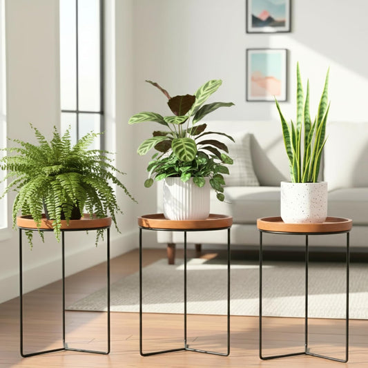 Indoor Metal Plant Stands with Wooden Tops for Home Decor