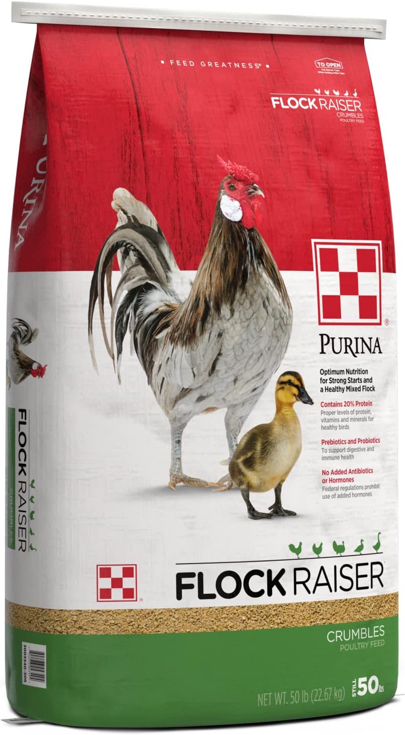 Purina Flock Raiser Crumbles Poultry Feed for Healthy Birds
