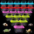 Small Plastic Reptile Carrier 20 Pack - Compact Breeding Boxes